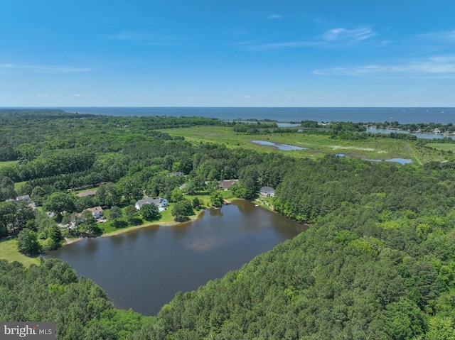 205 Mallard Dr, Stevensville, MD 21666 - aerial view of property and surrounding area featuring a forest and a nearby body of water