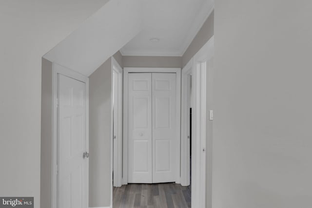 15 Wildflower Rd, Levittown, PA 19057 - hallway with wood finished floors and ornamental molding
