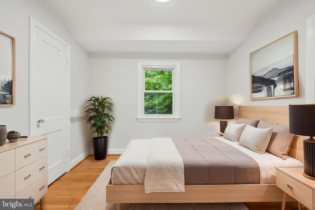8404 Galveston Rd, Silver Spring, MD 20910 - bedroom with light wood-style floors