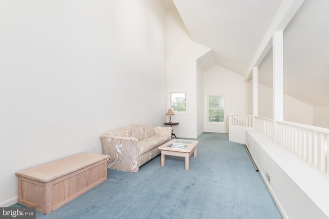 33340 Timberview Ct Unit 21003, Bethany Beach, DE 19930 - sitting room with carpet and vaulted ceiling