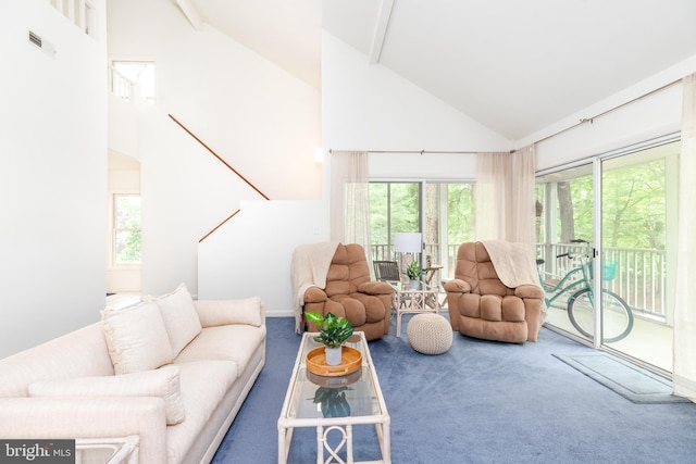 33340 Timberview Ct Unit 21003, Bethany Beach, DE 19930 - carpeted living area with high vaulted ceiling and plenty of natural light
