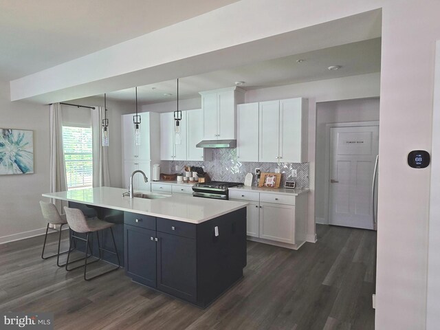 14623 Silver Hammer Way, Brandywine, MD 20613 - kitchen featuring a sink, under cabinet range hood, stainless steel range, and dark wood-type flooring