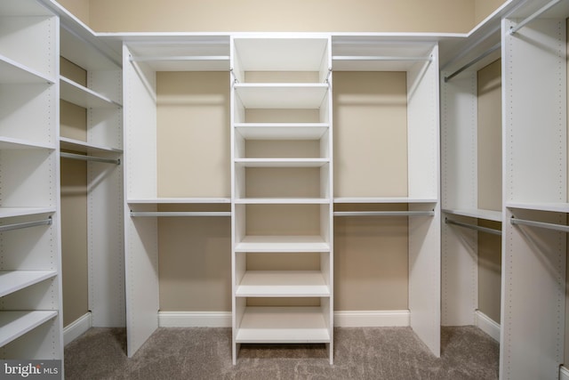 60 Sleepy Hollow Dr, Tabernacle, NJ 08088 - walk in closet with carpet floors