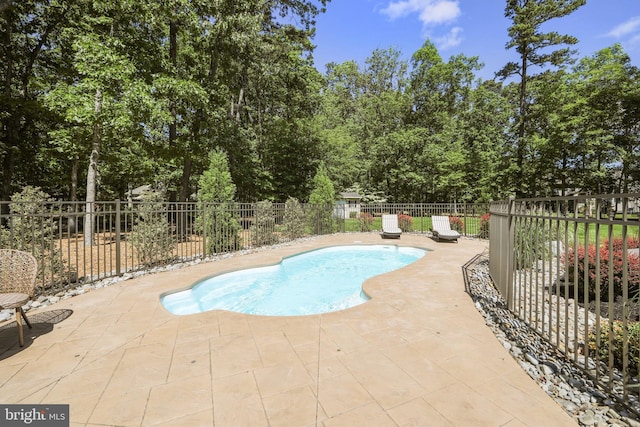 60 Sleepy Hollow Dr, Tabernacle, NJ 08088 - view of swimming pool with a patio and view of wooded area