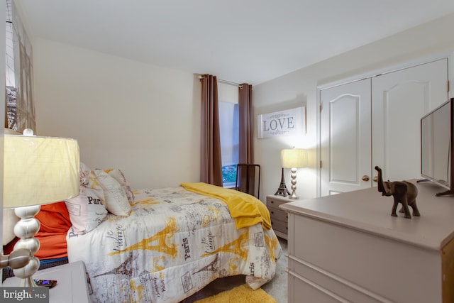 16600 Tortola Dr, Accokeek, MD 20607 - bedroom featuring a closet