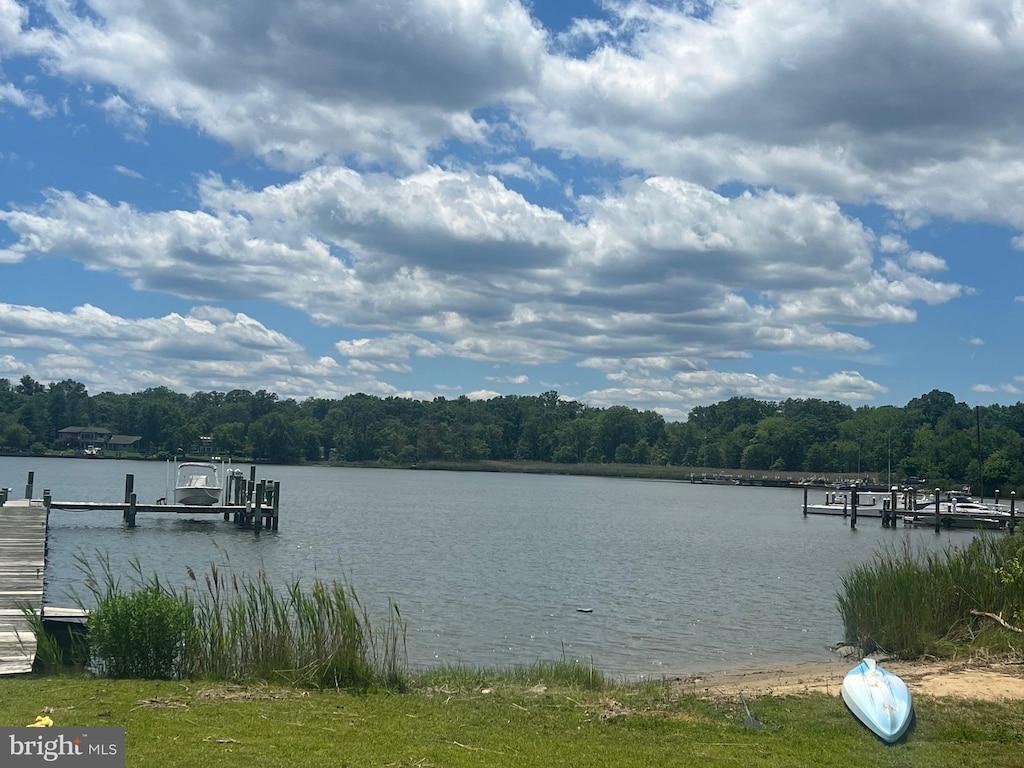 3403 Niagara Rd, Annapolis, MD 21403 - dock area with a water view and a view of trees