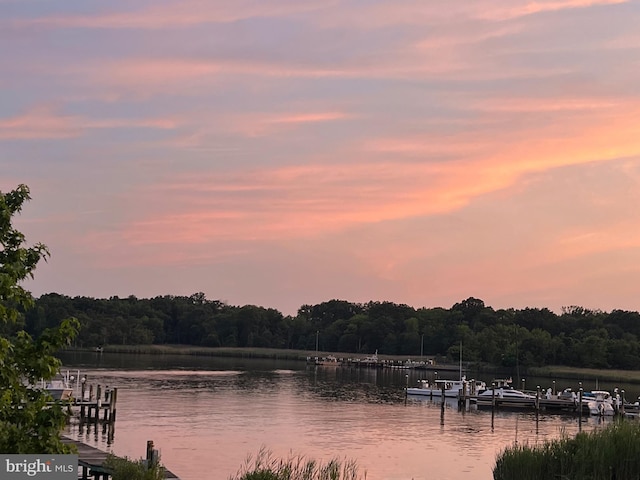 3403 Niagara Rd, Annapolis, MD 21403 - water view featuring a dock and a forest