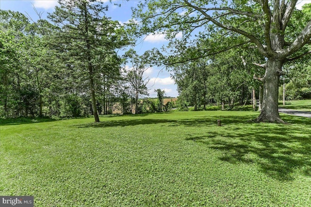 320 Lees Brg, Nottingham, PA 19362 - view of grassy yard
