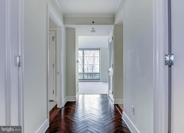 1155 23rd St NW Unit 6F, Washington, DC 20037 - corridor with baseboards and crown molding