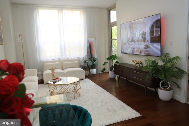 157 Fleet Unit 307, Oxon Hill, MD 20745 - living room with dark wood-type flooring
