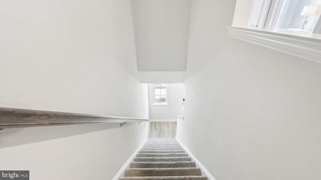 210 Bentz Ave, Villas, NJ 08251 - stairway with baseboards and carpet flooring