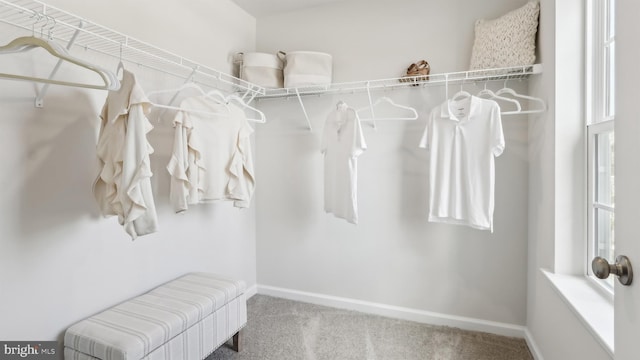 210 Bentz Ave, Villas, NJ 08251 - walk in closet featuring carpet flooring