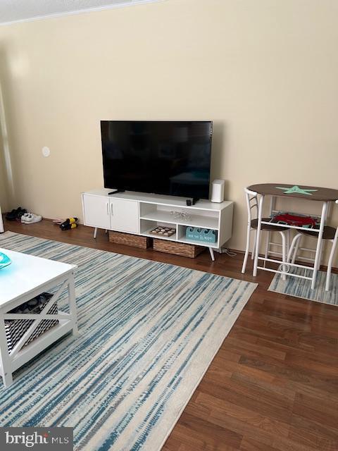 13 60th St Unit 201, Ocean City, MD 21842 - living room with wood finished floors
