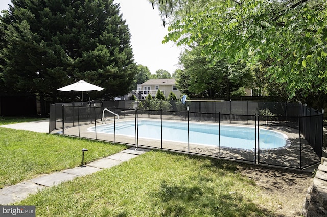 1100 Clarke St, Herndon, VA 20170 - view of swimming pool