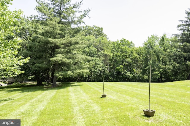 1100 Clarke St, Herndon, VA 20170 - view of grassy yard
