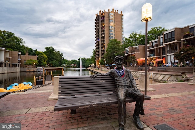 1100 Clarke St, Herndon, VA 20170 - surrounding community with a water view