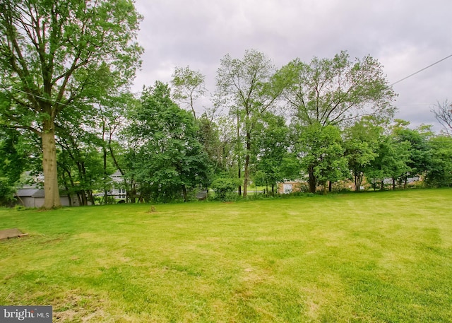 3900 Mark Ave, Harrisburg, PA 17110 - view of grassy yard