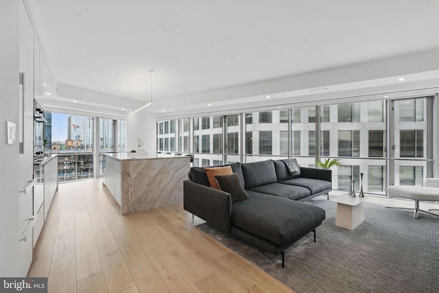 1111 19th St N Unit 2108, Arlington, VA 22209 - living area featuring light wood finished floors, recessed lighting, and floor to ceiling windows