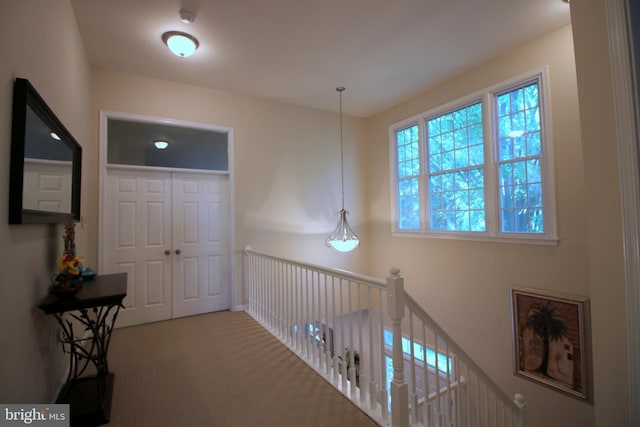 1300 Park Garden Ln, Reston, VA 20194 - hall with carpet