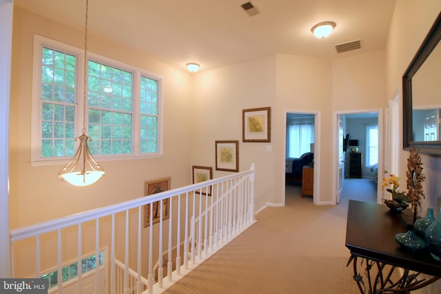 1300 Park Garden Ln, Reston, VA 20194 - corridor featuring an upstairs landing, carpet, and baseboards