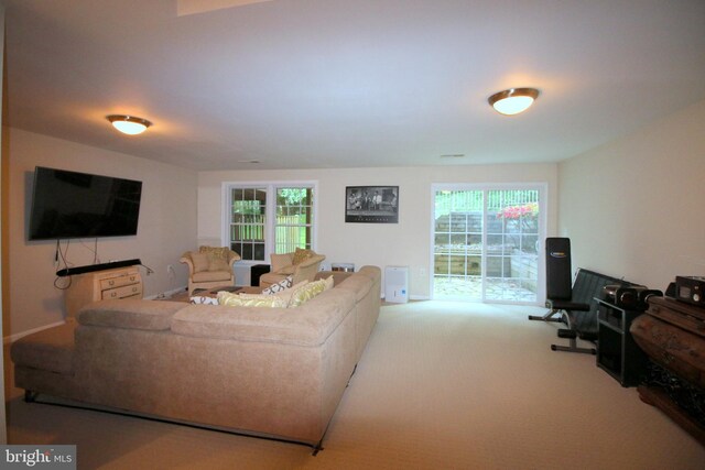 1300 Park Garden Ln, Reston, VA 20194 - living room featuring carpet floors