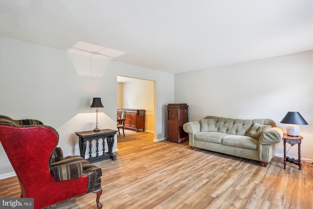 922 Pheasant Run Dr, Gaithersburg, MD 20878 - living area featuring light wood-style floors and baseboards