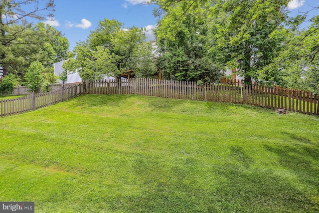 922 Pheasant Run Dr, Gaithersburg, MD 20878 - view of yard
