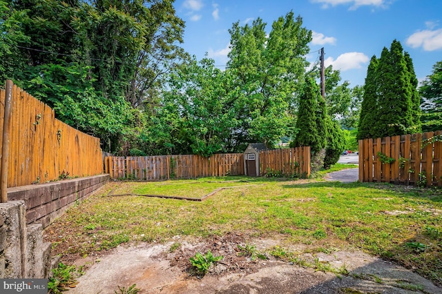 1402 W Old Cold Spring Ln, Baltimore, MD 21209 - view of yard