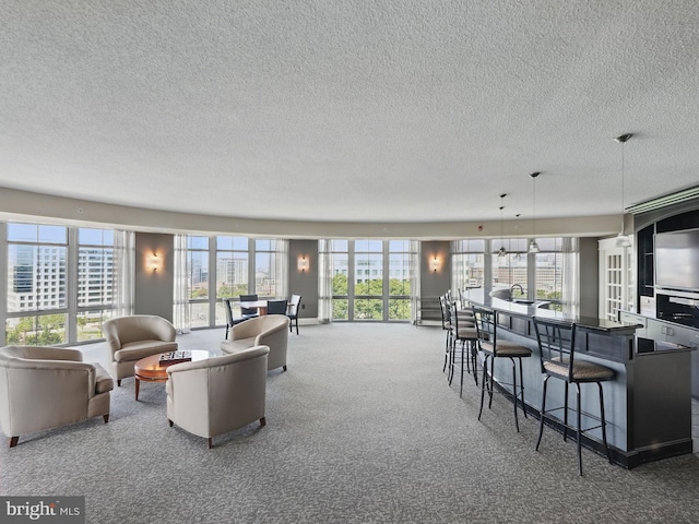 11800 Sunset Hills Rd Unit 717, Reston, VA 20190 - living room with a textured ceiling and carpet floors