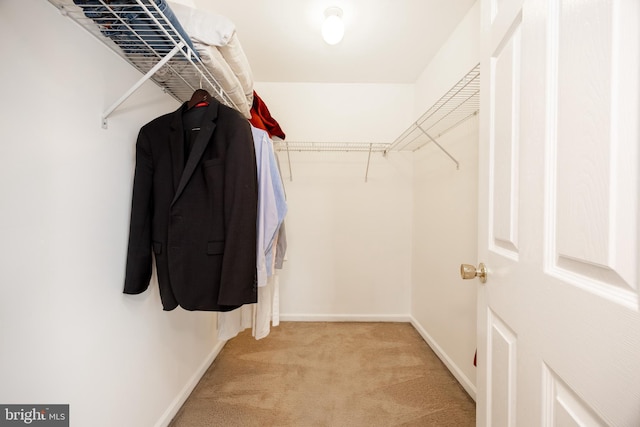 19 Cameron Ct, Royersford, PA 19468 - walk in closet featuring light carpet