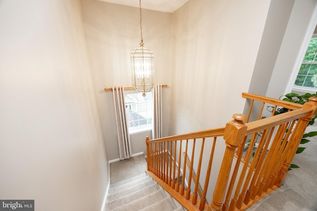 19 Cameron Ct, Royersford, PA 19468 - staircase featuring carpet floors, a chandelier, healthy amount of natural light, and baseboards