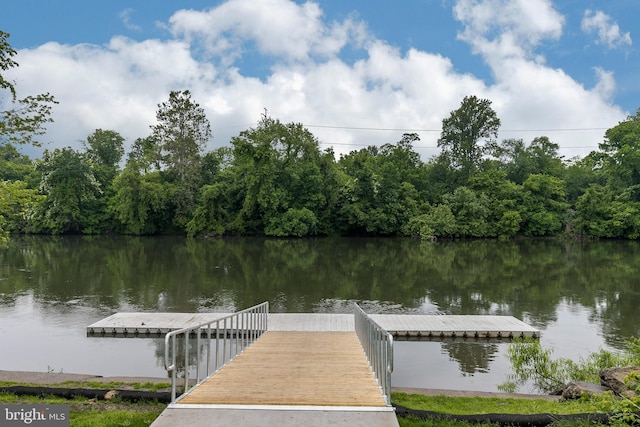 19 Cameron Ct, Royersford, PA 19468 - dock with a water view