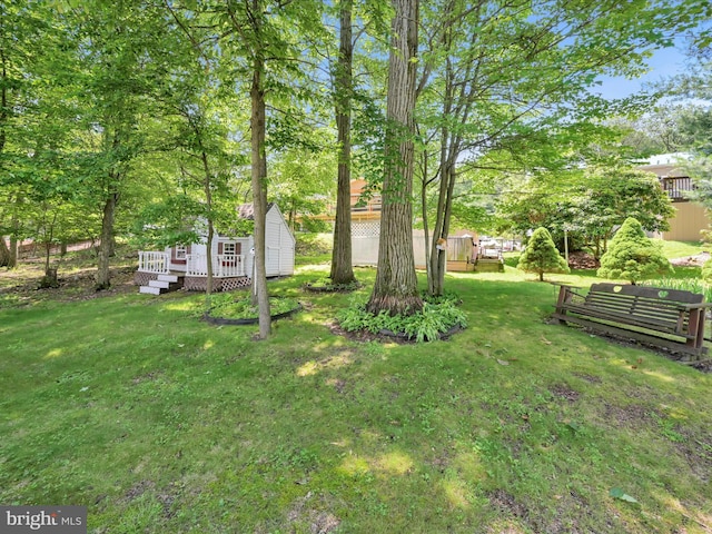 95 Comanche Dr, Auburn, PA 17922 - view of grassy yard featuring a wooden deck