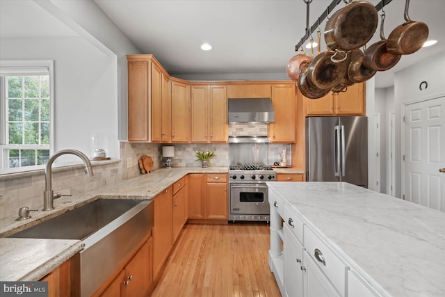 3 Graham Ct, Middletown, DE 19709 - kitchen with appliances with stainless steel finishes, exhaust hood, a sink, light wood-type flooring, and light stone counters