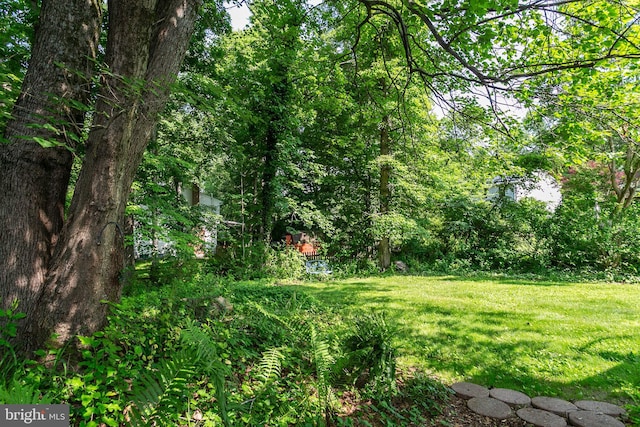 10263 Wayover Way, Columbia, MD 21046 - view of green lawn with a wooded view
