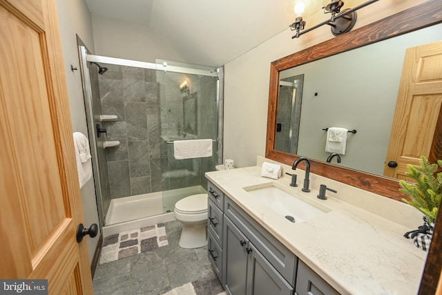 90 Biltmore Ridge Trl, Mc Henry, MD 21541 - full bathroom with vanity, toilet, a shower stall, and vaulted ceiling