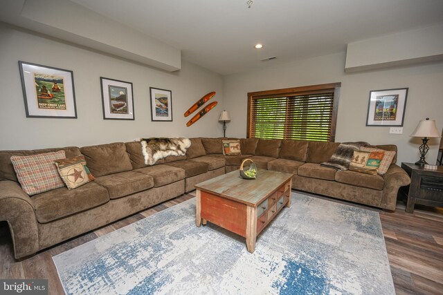 90 Biltmore Ridge Trl, Mc Henry, MD 21541 - living area featuring wood finished floors and recessed lighting