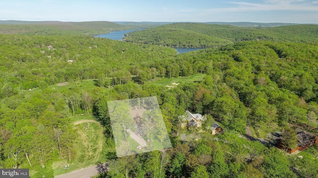 90 Biltmore Ridge Trl, Mc Henry, MD 21541 - drone / aerial view of a forest and a nearby body of water