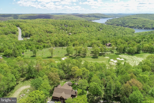 90 Biltmore Ridge Trl, Mc Henry, MD 21541 - drone / aerial view of a forest and a large body of water