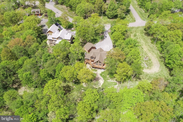 90 Biltmore Ridge Trl, Mc Henry, MD 21541 - bird's eye view
