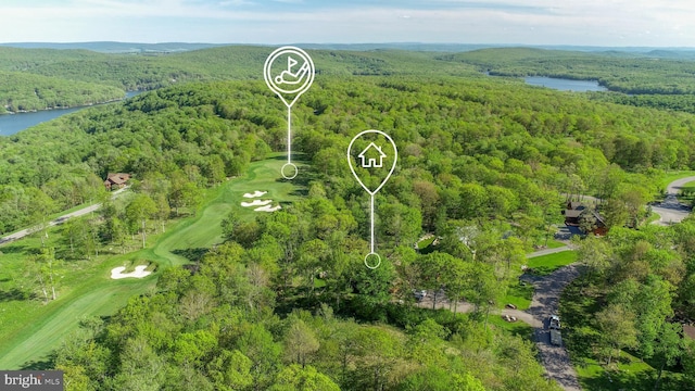 90 Biltmore Ridge Trl, Mc Henry, MD 21541 - drone / aerial view of a heavily wooded area, a nearby body of water, and a local golf course