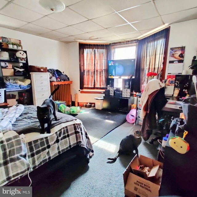 886 Barnesville Dr, Barnesville, PA 18214 - bedroom with a drop ceiling