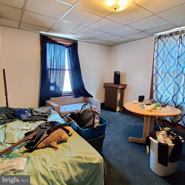 886 Barnesville Dr, Barnesville, PA 18214 - bedroom with carpet flooring and a paneled ceiling