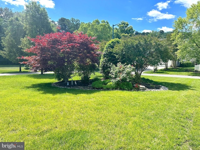 29865 Hillary Ave, Easton, MD 21601 - view of grassy yard