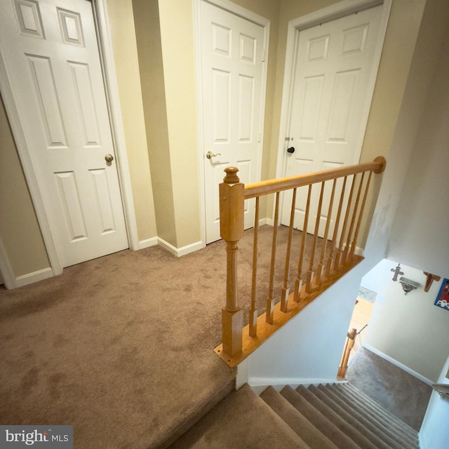 11289 Kessler Pl, Manassas, VA 20109 - stairway with carpet flooring and baseboards