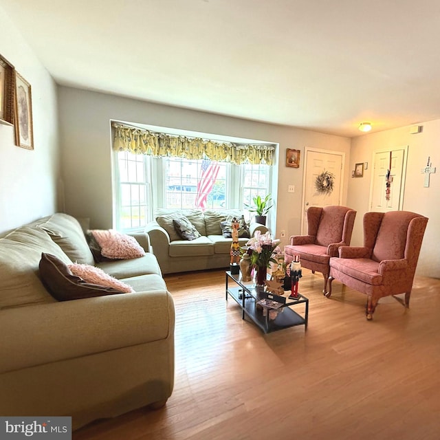 11289 Kessler Pl, Manassas, VA 20109 - living room featuring light wood finished floors