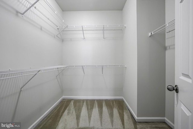 12517 Rustic Rock Ln, Beltsville, MD 20705 - spacious closet featuring carpet