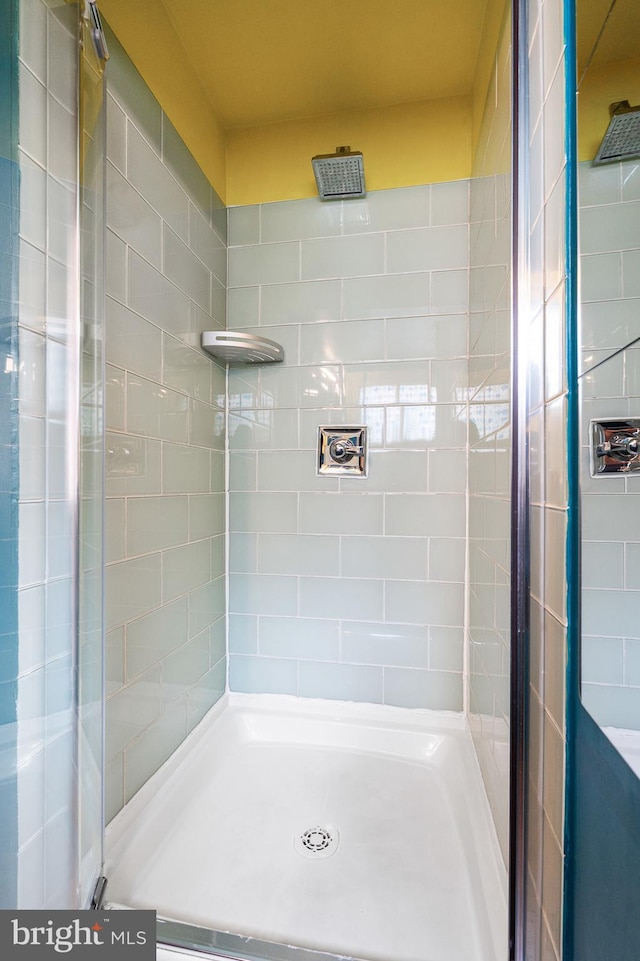 503 N Paca St, Baltimore, MD 21201 - bathroom with a stall shower