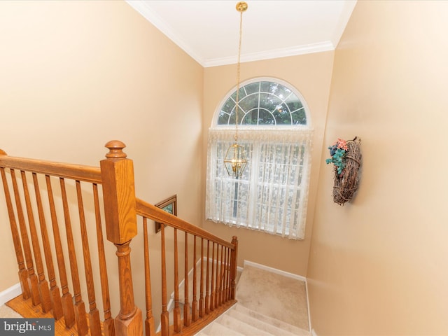 6810 Morrow Way, Frederick, MD 21703 - staircase with crown molding, baseboards, carpet floors, and a chandelier