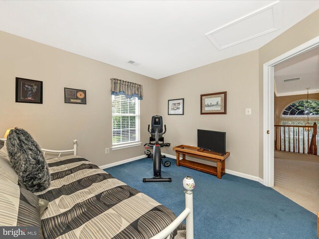 6810 Morrow Way, Frederick, MD 21703 - workout room featuring attic access, carpet floors, and baseboards